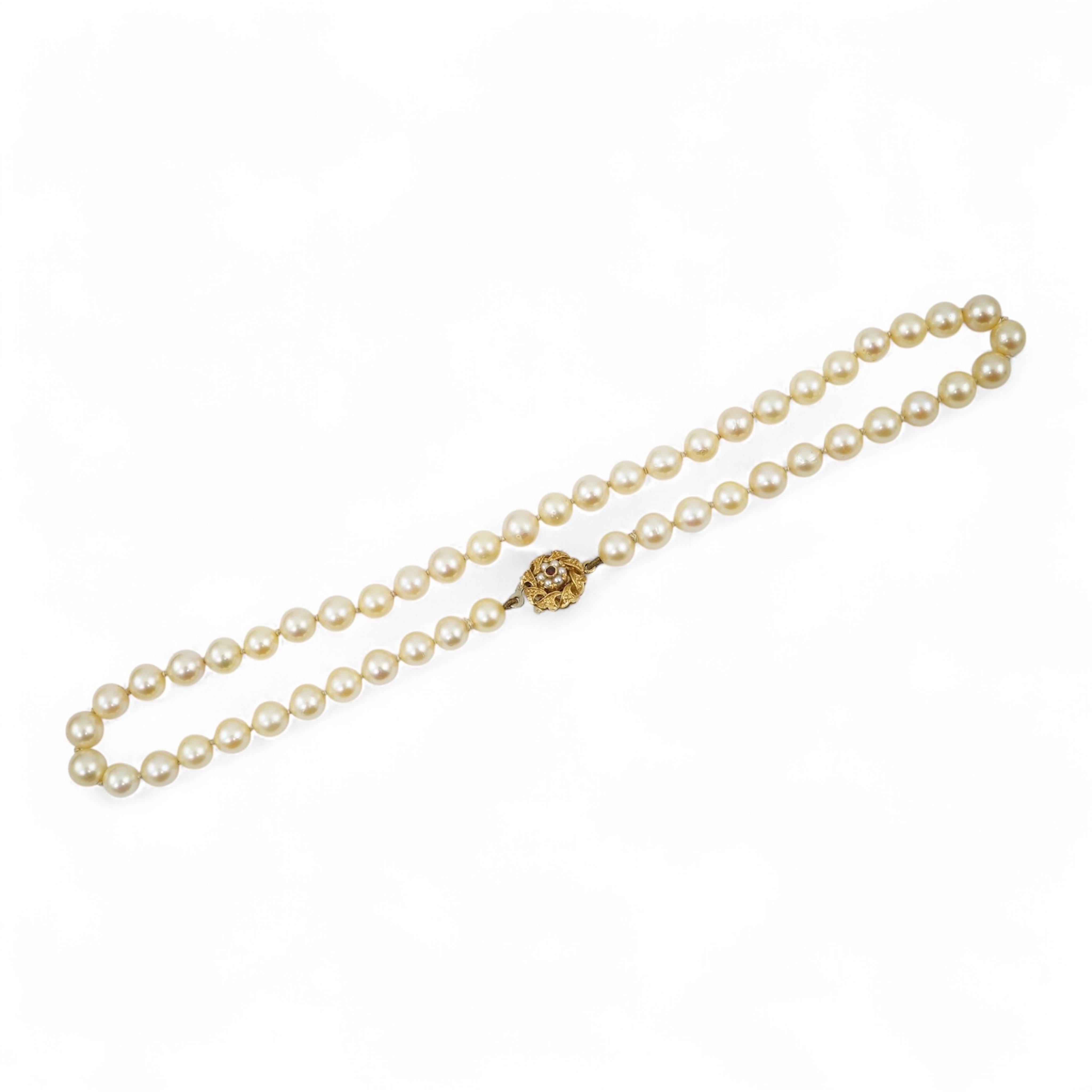 A single strand cultured pearl necklace, wit an 18ct gold, ruby and seed pearl cluster set clasp, 40cm.